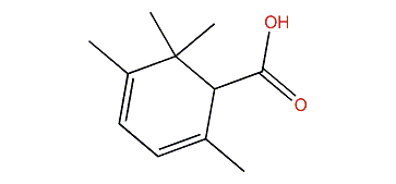 2,5,6,6-Tetramethylcyclohexa-2,4-diene carboxylic acid